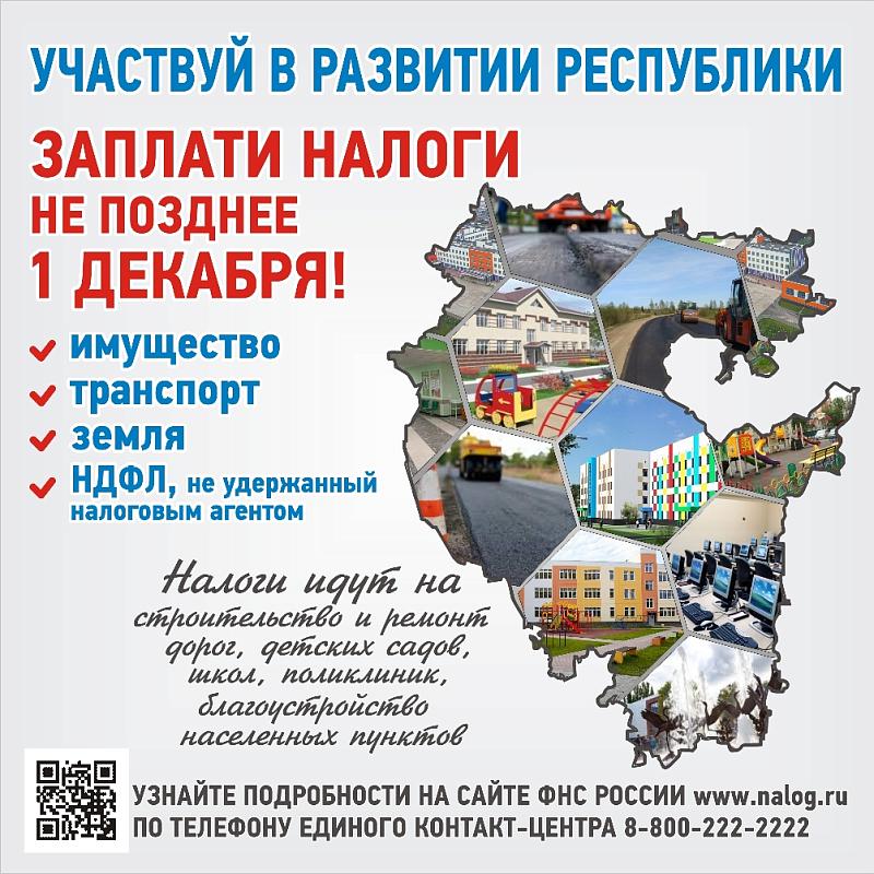 Заплати налоги до 1 декабря!